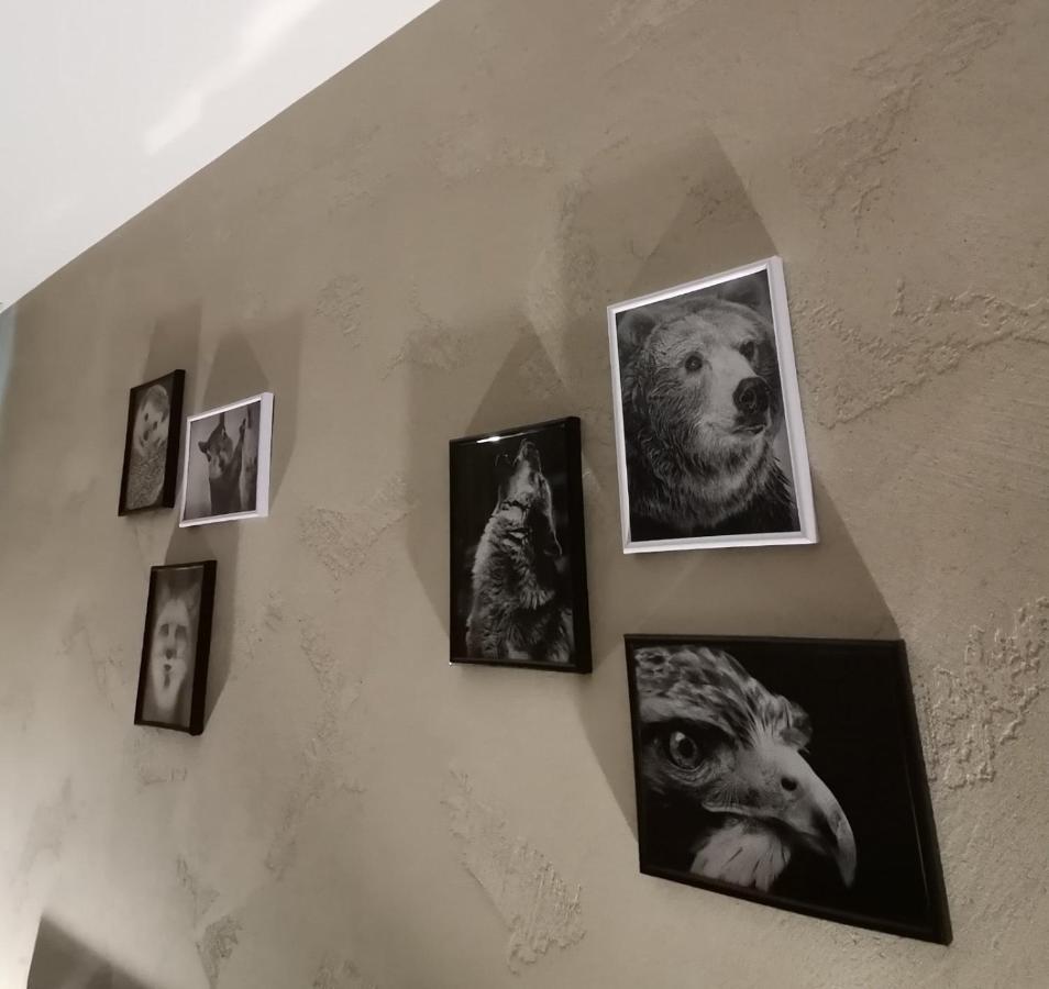 Studio A3 Borovets Gardens Dış mekan fotoğraf